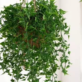 Легкое бессмертное растение, прочная уникальная цветочная композиция, искусственный цветок