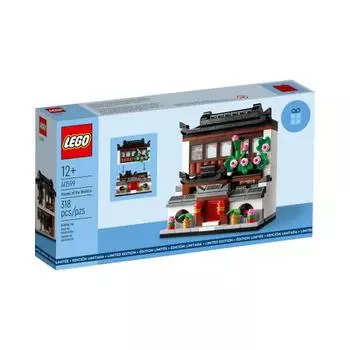 LEGO 40599 «Дома мира: 4 развивающие игрушки», подарок для детей, строительные кирпичи, возраст 6+