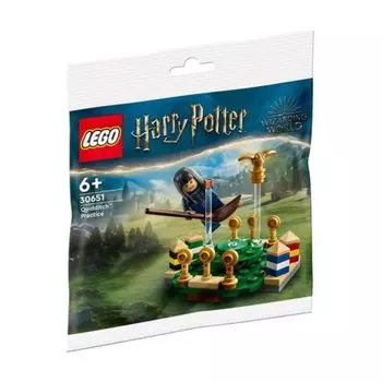 LEGO Гарри Поттер Квиддич Тренировка GWP Средний (55 шт., 30651) Полиэтиленовый пакет,