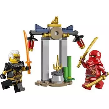 LEGO Ninjago Битва Кая и Раптона в храме 30650 Битва Кая и Раптона в храме