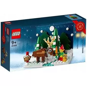 LEGO Seasonal 40484 Задний двор Санты