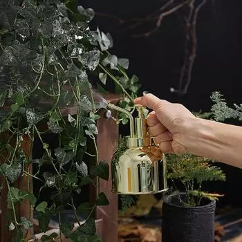 Лейка в стиле ретро, дизайн чайника под давлением, сплошной цвет, мини-винтажная лейка для ростков чёрный