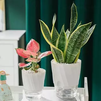 Ленивый гидропонный цветочный горшок, автоматический впитывающий воду цветочный горшок, прозрачный двухслойный пластиковый самополивающийся горшок для офиса