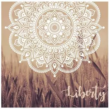 Les Trsors De Lily [A0144] - Коричневая канва Бохо (мандала - свобода) - 40x40см NA