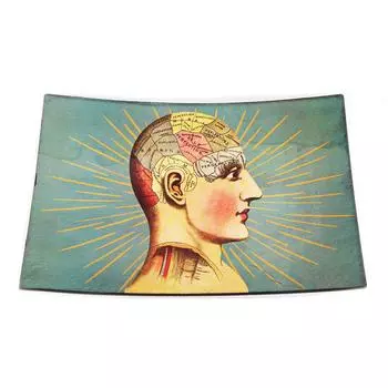 Les Trsors De Lily [A1411] - Пустая стеклянная карманная тарелка Френология (голова) - 23x15x3см