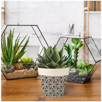 Les Trsors De Lily [A1630] - Бамбуковое кашпо Boho черно-бежевый - 14x12 см