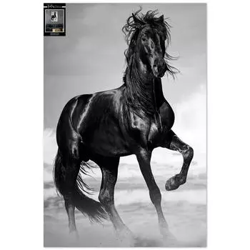 Les Trsors De Lily [A3275] - Фотохолст Лошадь черный - 90x60 см