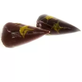 Les Trsors De Lily [E1035] - Серебряные деревянные серьги Dark Angel