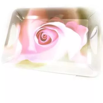 Les Trsors De Lily [J7932] - Розовый поднос Plant Garden ярко-розовый