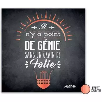 Les Trsors De Lily [P2970] - Черный грифельный холст Цитаты ( Нет гения ни крупицы Безумия - Аристотель ) - 28x28 см