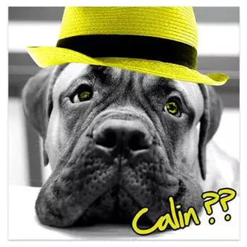 Les Trsors De Lily [P6478] - Холст Un amour d Animaux серо-зеленый (собака) - 40x40 см