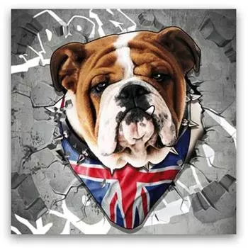 Les Trsors De Lily [P6499] - «Британский бульдог» Холст - 40x40 см.
