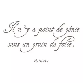 Les Trsors De Lily [Q4799] - Лист наклеек «Сообщения» (Нет гения без нотки безумия - Аристотель) - 20x70 см.
