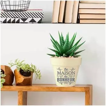 Les Trsors De Lily [Q6398] - Бамбуковое кашпо Messages бежево-серый (Дом счастья) - 13. 5x15см