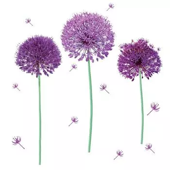 Les Trsors De Lily [Q8273] - Лист фиолетовых наклеек «Allium» - 50x70 см. ярко-розовый