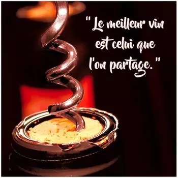 Les Trsors De Lily [Q9529] - Холст Вино красно-коричневый (Лучшее вино - то, которое мы разделяем) - 40x40 см коричневый