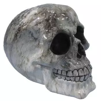 Les Trsors De Lily [R1462] - Фигурка из смолы Череп серый (под мрамор) - 15x12x10. 5 см серый