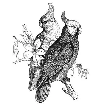 Les Trsors De Lily [R4074] - Лист наклеек Попугаи черный - 50x70 см