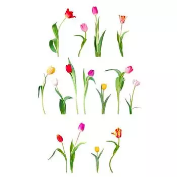 Les Trsors De Lily [R6021] - Лист наклеек Тюльпаны разноцветный - 20x70 см