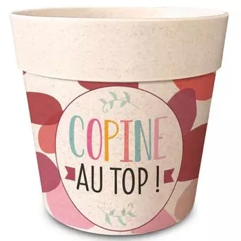 Les Trsors De Lily [R6639] - Бамбуковое кашпо Copine au Top! бежевая роза - 14x12 см ярко-розовый