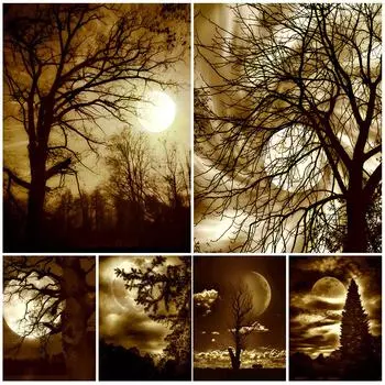 Лес в ночь полнолуния ретро и полон странной атмосферы. Художественный постер ночи напечатан и оформлен 21cm30cm NoFrame