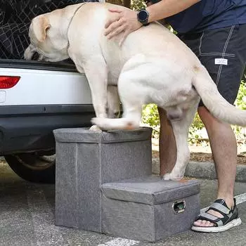 Лестница для домашних животных с ящиком для хранения в машине Лестница для собак Лестница для хранения домашних животных Складной органайзер для хранения Прочные несущие лестницы для собак белый