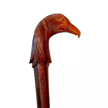 летающий попугай денгерс читает голову ручка лучшая деревянная трость трость дизайнер