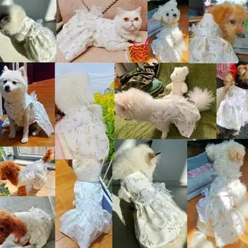 Летнее платье для собак Роскошная одежда для собак Одежда для собак с бантом Юбка из сетки для щенков Одежда для чихуахуа бишона Охлаждающий жилет для кошек с кружевом XS