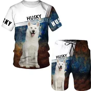 Летняя футболка с 3D принтом собак, мужской спортивный костюм, футболка, шорты, мужская одежда с рисунком хаски, футболки/костюмы с круглым вырезом M