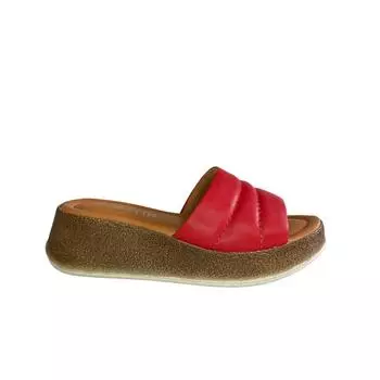 Летняя коллекция стильных женских тапочек