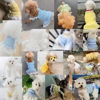 Летняя одежда для собак, платье для щенков, котят, собак, кружевная одежда для домашних животных, костюм для чихуахуа, бишона, йорка, одежда для домашних животных 2025 года, охлаждающий жилет для собак XS