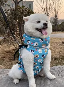 Летняя одежда Hakona Dog, охлаждающий жилет и охлаждающий шейный воротник для собак, охлаждающий шейный воротник без пакета со льдом, охлаждающие товары для охлаждения шеи, профилактика теплового удара летом