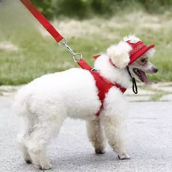 Летняя сетчатая дышащая солнцезащитная шапка для кошек и собак, товары для домашних животных на открытом воздухе, летние аксессуары для допаминового козырька для кошек и собак S