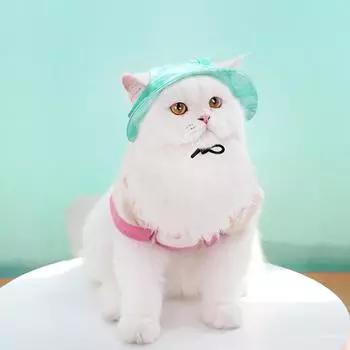 Летняя шляпа для домашних животных для маленьких и средних собак, кошек, регулируемая солнцезащитная бейсболка с принтом тай-дай, кепка для кошек, кепка для защиты от солнца, принадлежности для домашних животных, шляпа для улицы L