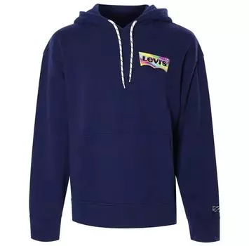 Levi s® T2 Relaxed Graphic худи M