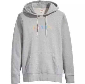 Levi s® T2 Relaxed Graphic худи S