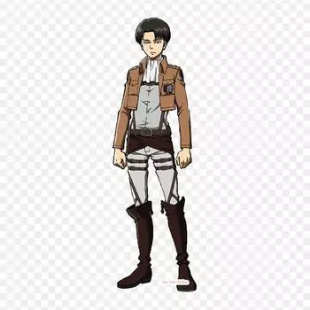 Леви Акерман Акерман в полный рост, нашивки для одежды, большие аниме-нашивки, теплопередающие виниловые наклейки, утюг на переводных картинках для одежды