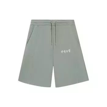 Li-Ning Vital Essential однотонные свободные прямые шорты с вышитыми буквами, мужские плавки, зеленые AKSSA87-6 XS