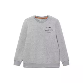 Li Ning Wade Series Printed Solid Pullover Sweatshirt Men Sweatshirts Flower-Gray Light-Gray AWDS189-4 S