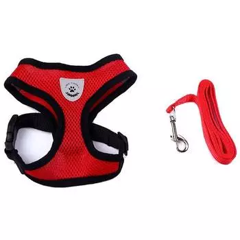 Life Point Edge Black Mesh Шлейка + поводок для собаки, S, Красный, 1 комплект