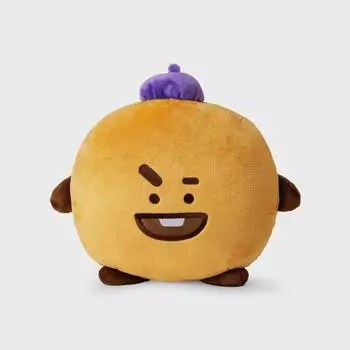 LINE FRIENDS BT21 SHOOKY Hop in Rub Face Cushion