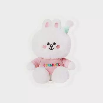 LINE FRIENDS Карточка сообщения Конни