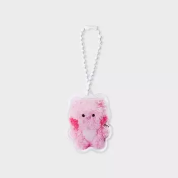 Line Friends Minini Figini Acrylic Keyring