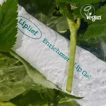 Lip Leaf Enrichment Lip Gel, Korean cosmetics