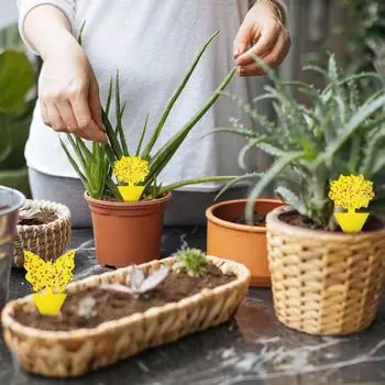 Липкая ловушка, ловушка для фруктовых мух и комаров Желтые липкие ловушки для насекомых Ловец насекомых для белых мух, грибных комаров, летающих насекомых, аксессуары для домашнего сада 10pcs жёлтый