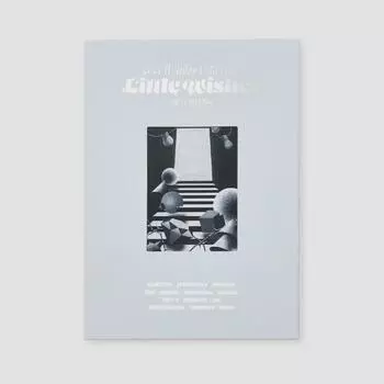 Little Wish 2021 Seventeen Photobook Little Wish