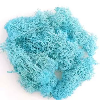 Living Room Mini Landscape Fake Flowers Garden Decoration Moss Artificial Plants Eternal Moss