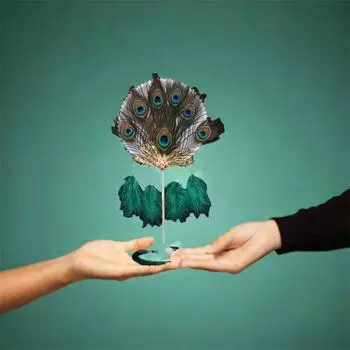 Long Handled Circular Fan Handheld Dancing Fan Portable Peacock Feather Fan Performance