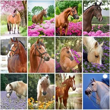 Лошадь DIY 5D алмазная живопись полная круглая дрель смола животное Алмазная вышивка крестиком мозаика домашний декор настенное искусство Full Round 20x30CM