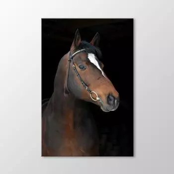 Лошадь Стол